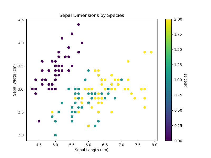 Sepal Dimensions by Species